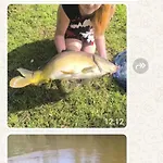 Kingfisher Francorchamps *