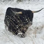 Semesterbostad Kingfisher Francorchamps Stavelot