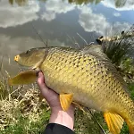 Kingfisher Francorchamps Semesterbostad *