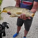 Semesterbostad Kingfisher Francorchamps *