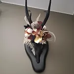 Kingfisher Francorchamps * Stavelot