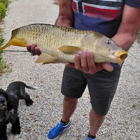 Prázdninový dům Kingfisher Francorchamps *