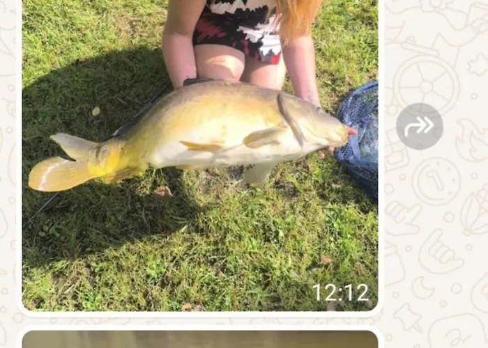 Kingfisher Francorchamps *