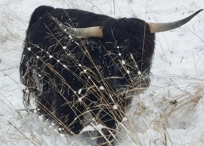 Casa vacanze Kingfisher Francorchamps Stavelot