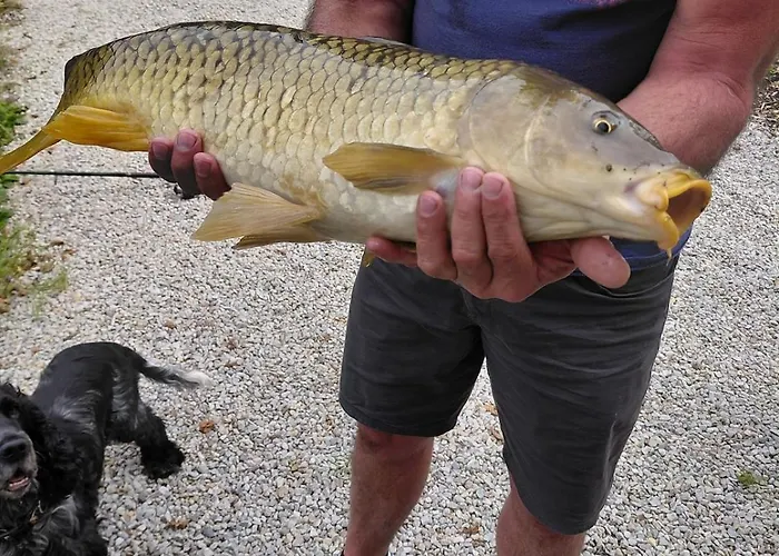 Casa vacanze Kingfisher Francorchamps *