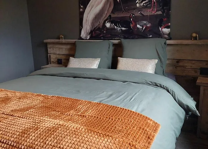 Kingfisher Francorchamps *