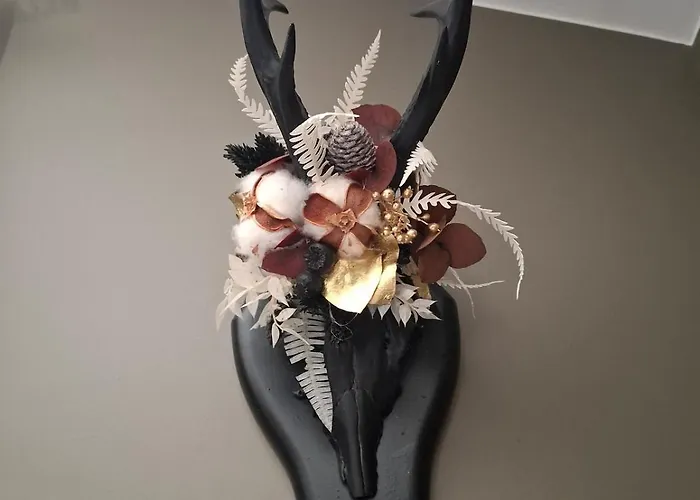 Kingfisher Francorchamps * Stavelot